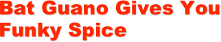 Bat Guano Gives You Funky Spice